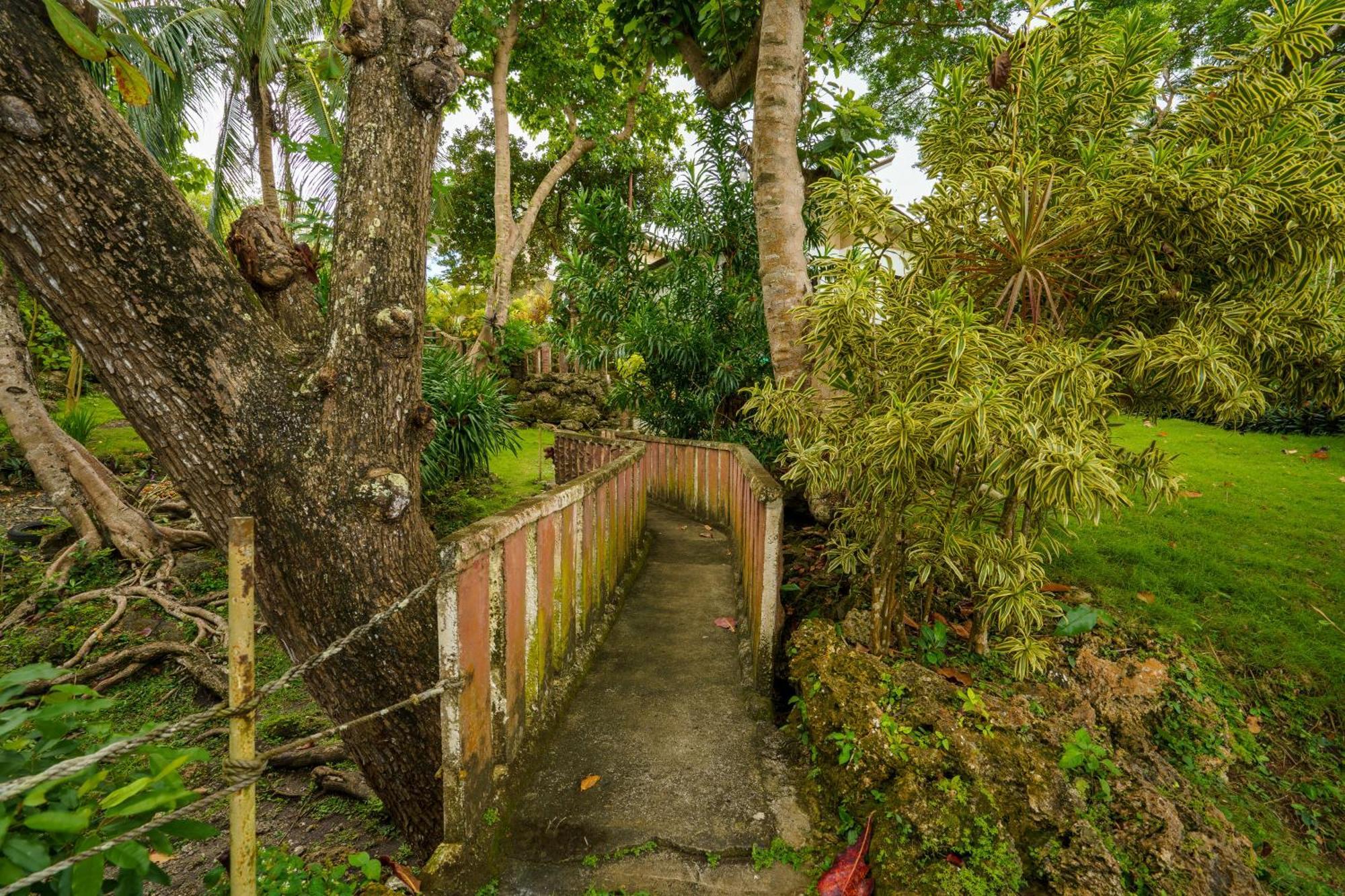 Oceanside 2 Bedroom House, 100Mbps Wifi Panglao Kültér fotó