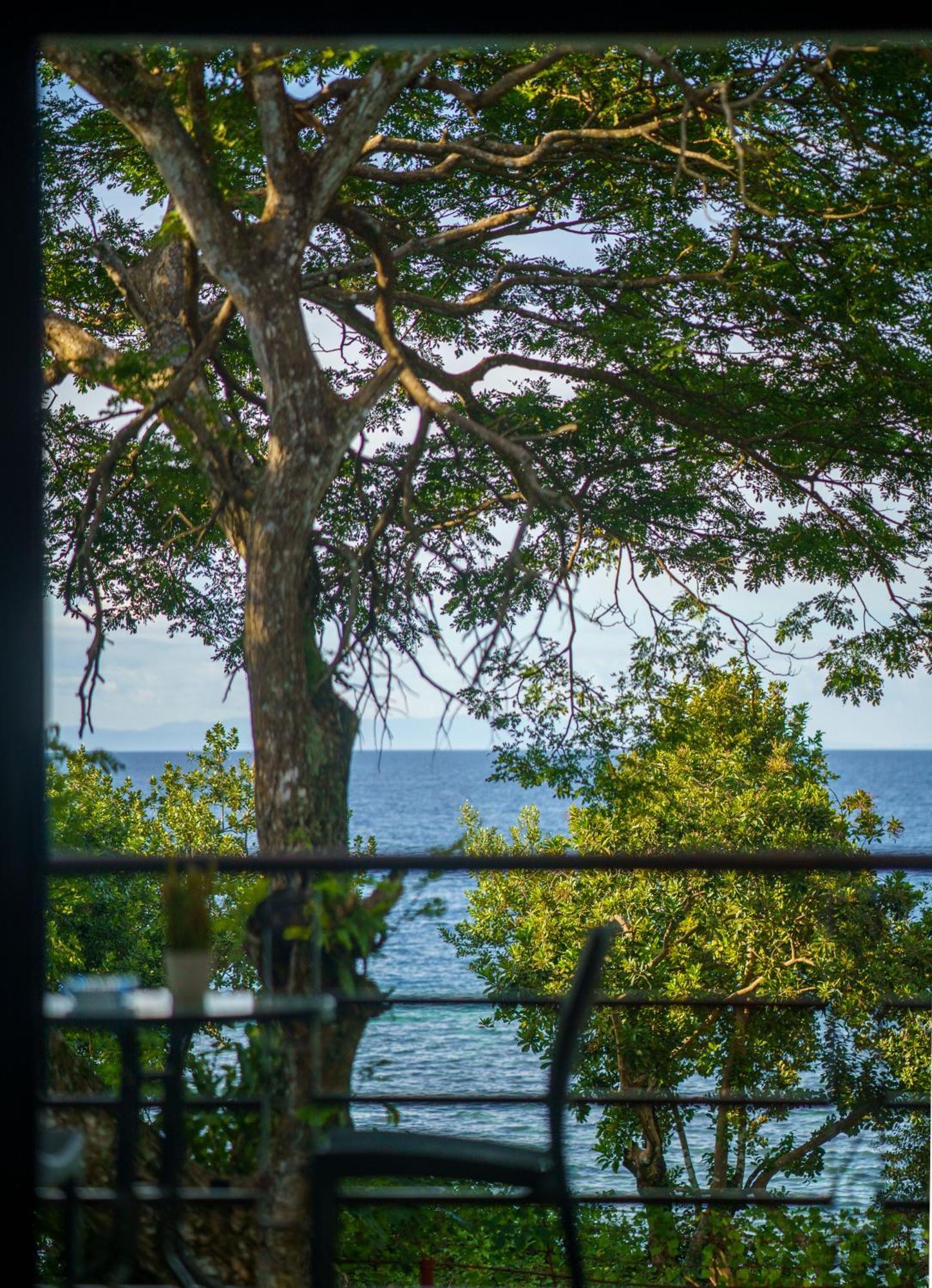 Oceanside 2 Bedroom House, 100Mbps Wifi Panglao Kültér fotó