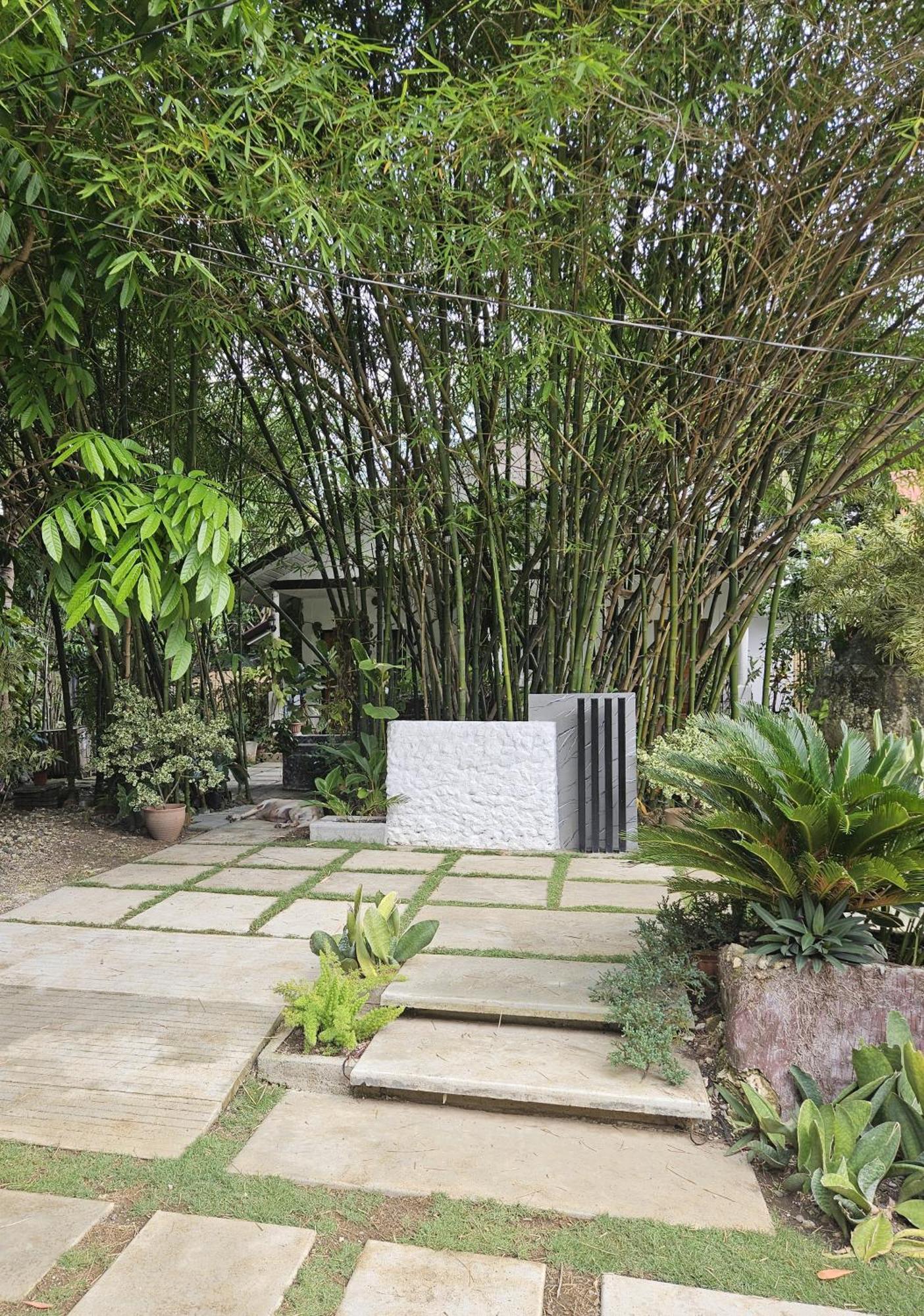 Oceanside 2 Bedroom House, 100Mbps Wifi Panglao Kültér fotó